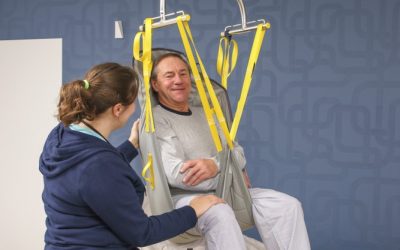 Cómo elegir el arnés de transferencia adecuado