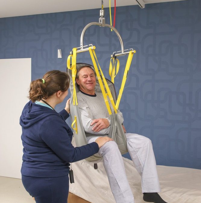 Cómo elegir el arnés de transferencia adecuado