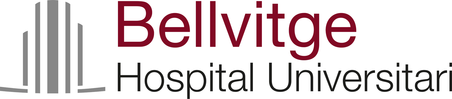 Hospital Universitari Bellvitge